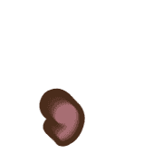 245