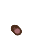 246