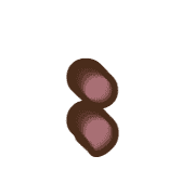 243