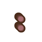 244