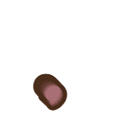 245