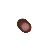 253