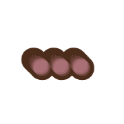 257