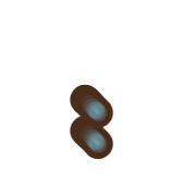 244