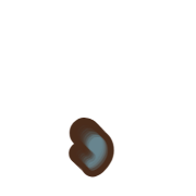 245