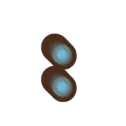 244