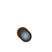 246