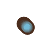 253