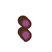 243