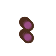 244