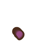 245