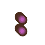244