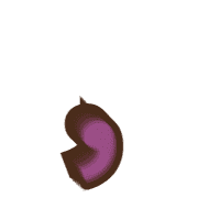 245
