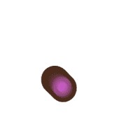 246