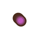 253