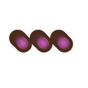 257