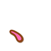 256