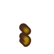 243