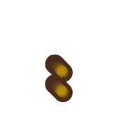 244