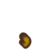 245