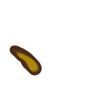 256