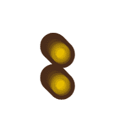 244
