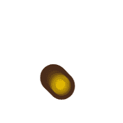 246