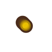 253