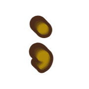 243