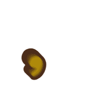 245