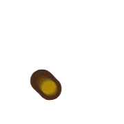 246