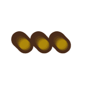 257