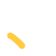 256