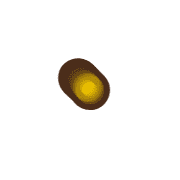 253