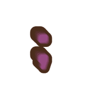 243