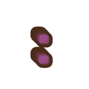 244