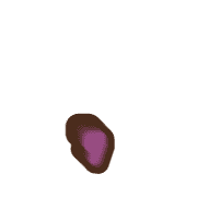 245