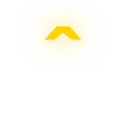 231