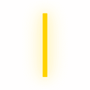 242