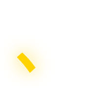 256