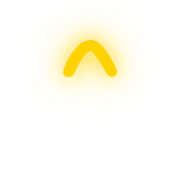 231