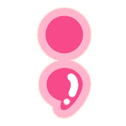 243