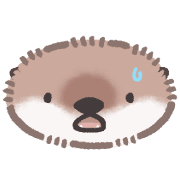 003