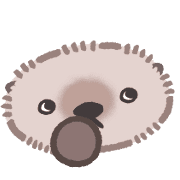 019