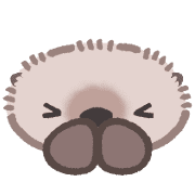 021