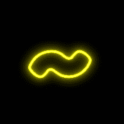 063