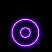 041