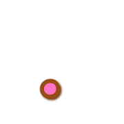 246