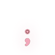 243