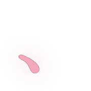 256